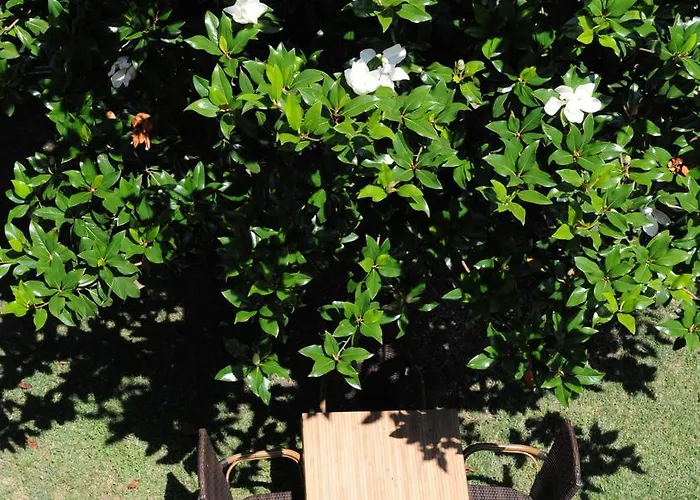 Hotell Valentina Peschiera del Garda